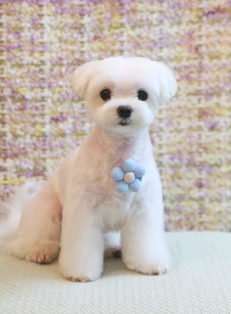 업체 정보 이미지 2