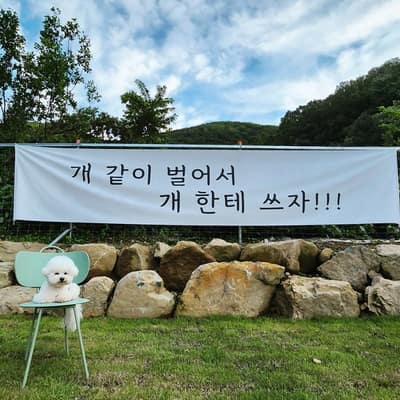 [대구 달성군] 666도그플레이
