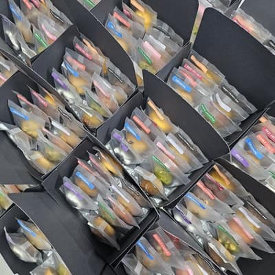 [전북 전주] 할로케크